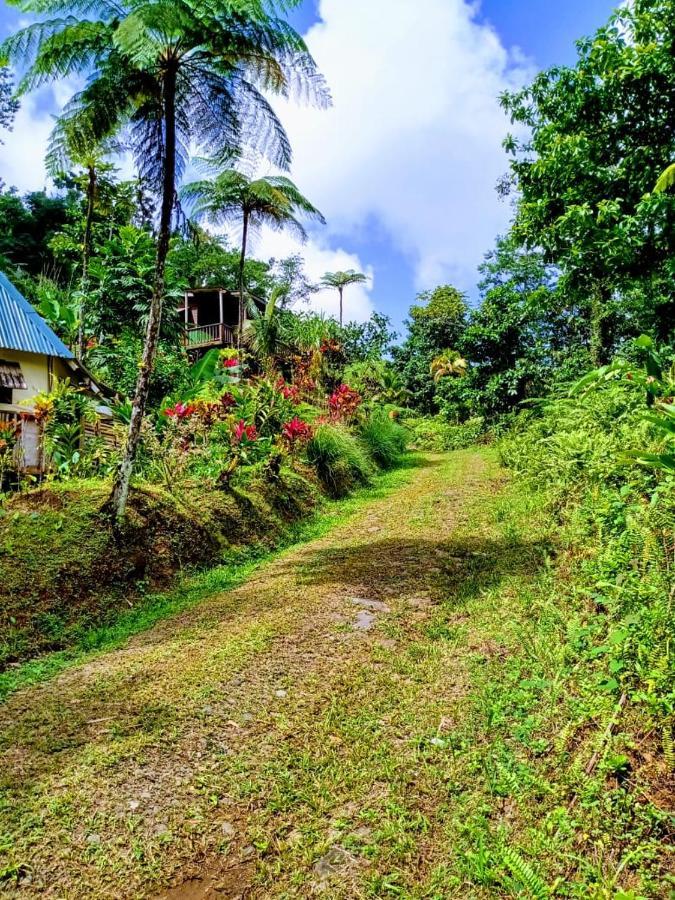 Roots Jungle Retreat Villa Marigot Exterior photo