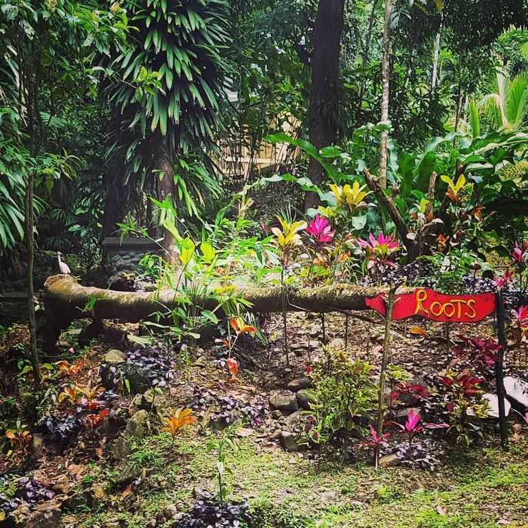 Roots Jungle Retreat Villa Marigot Exterior photo